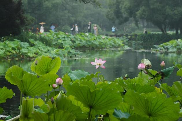 Update: Hangzhou to host 5th World Congress of Biosphere Reserves this month