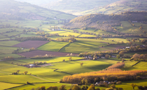 Tenant farmers to 'press the case' for rent reductions