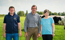Modernisation plan for organic Holstein herd