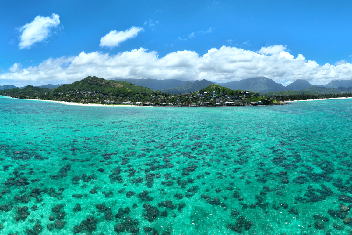 Danny De Gracia- The Case For Young People To Stay In Hawaii - Honolulu Civil Beat
