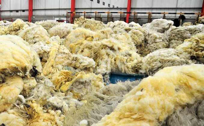 Welsh Government pledges to use more wool in public buildings