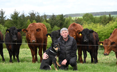 Changing systems and breeds creates better work-life balance for Shropshire farmer