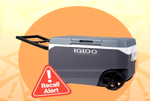 Igloo recalls over million coolers after finger amputation injuries