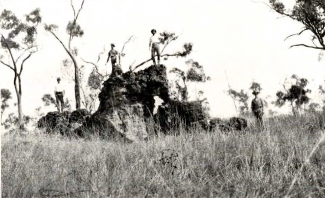 Historical image of the Nightflower outcrop. Credit: Tartana.