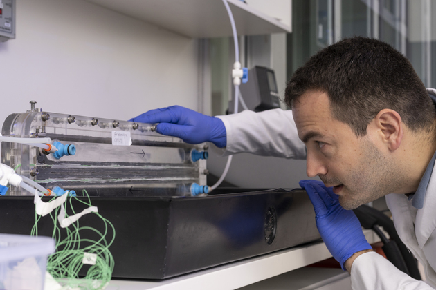 AUSTRALIA-CANBERRA-ECO-FRIENDLY TECHNIQUE-LITHIUM EXTRACTION