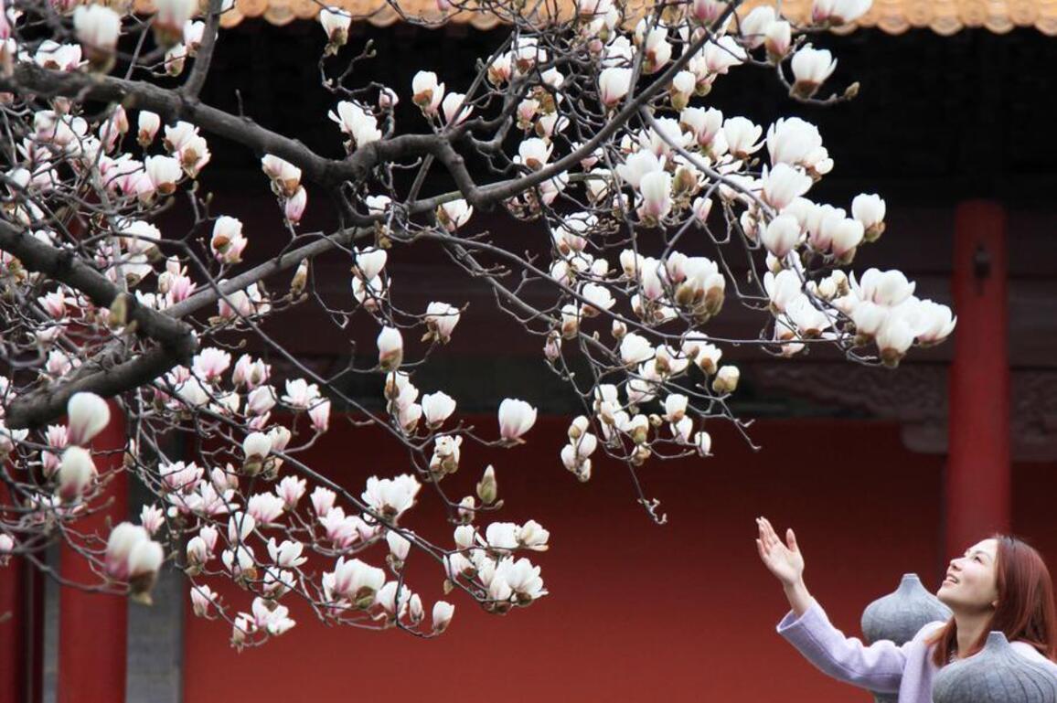 InPics | Spring greets China with blooming nature