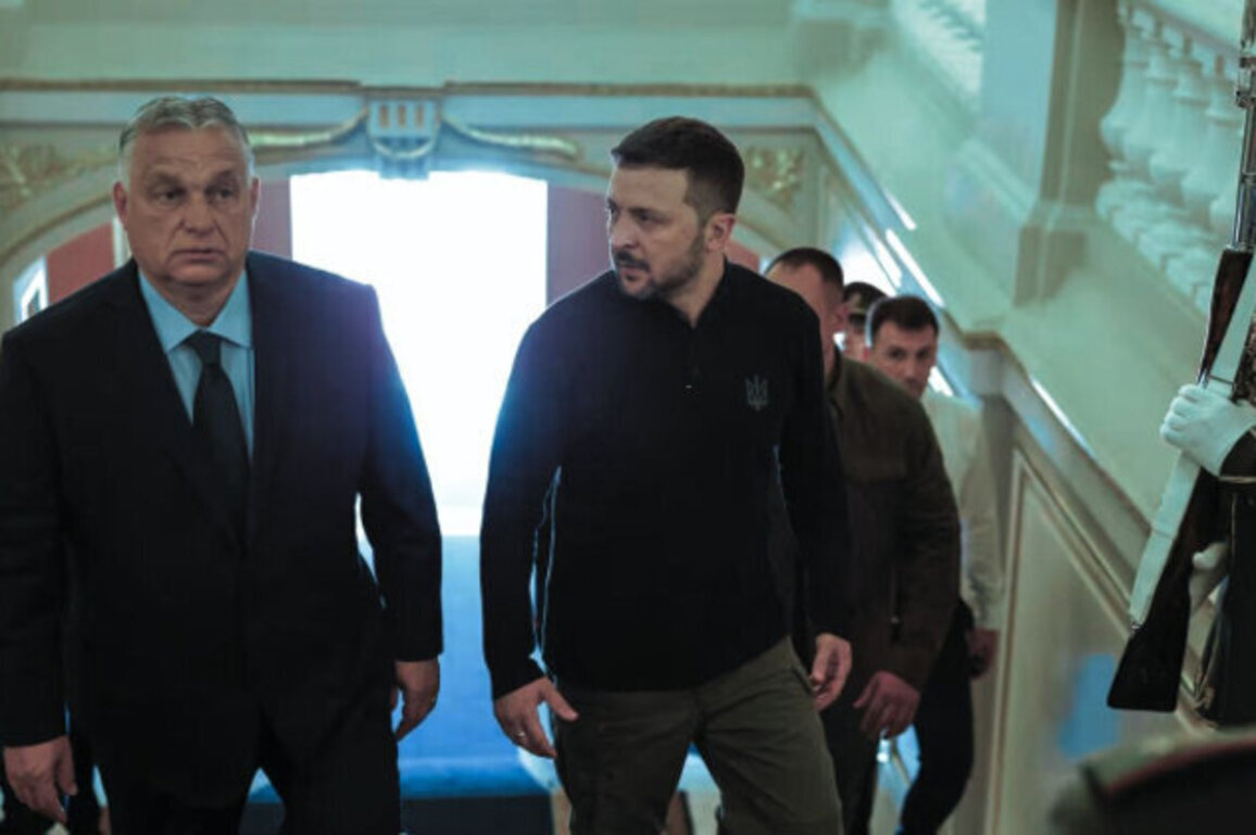 EU Unity Fractures: Hungary Veto Leaves Ukraines Finances in Limbo