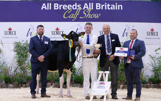 Border and Lakeland claim Holstein calf championship at All Breeds All Britain