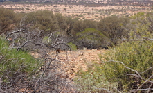 Kathleen Valley country.