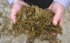 Five ideas to help boost silage in 2023