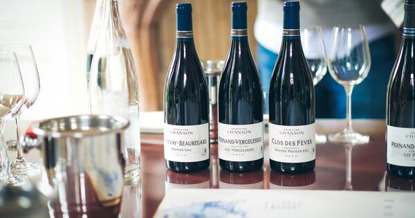 Trump targets French wine with tariffs over Board of Peace plan