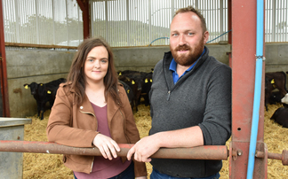 Dairy calf to beef system adds value to Northern Irish farm