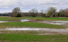 Crop area drops as weather woes continue for arable and livestock farmers