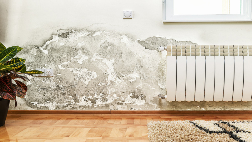 PAS 2035 retrofit standard receives cautious welcome from Safeguard