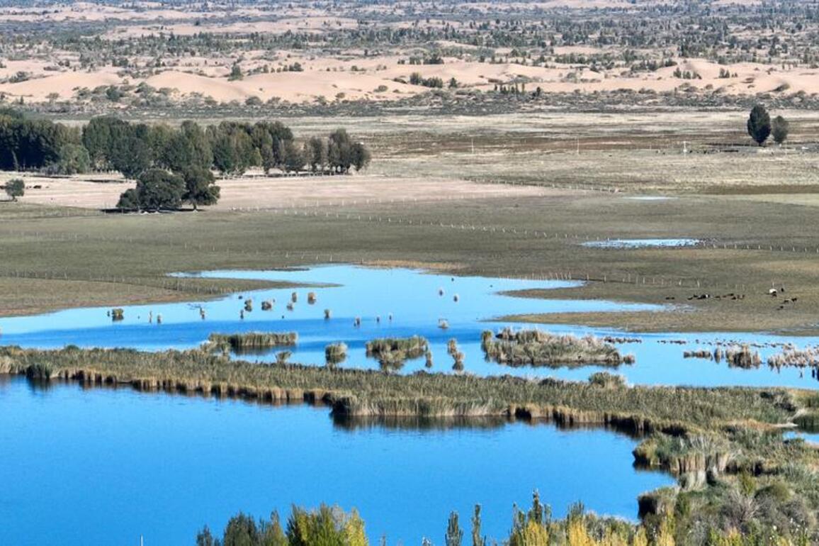 North China's barren salt flats turn into rice fields, tourist attractions