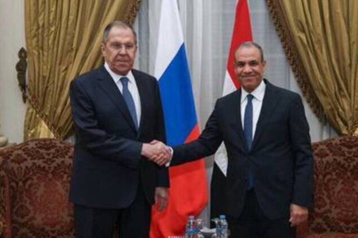 Lavrov meets African counterparts in Cairo (PHOTOS)