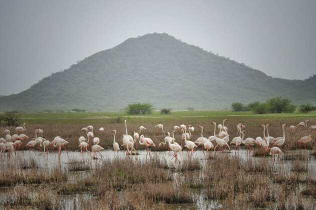 Foreign tourists from over 52 countries regularly visit Chhari-Dhandh to take glimpse of its rich diversity