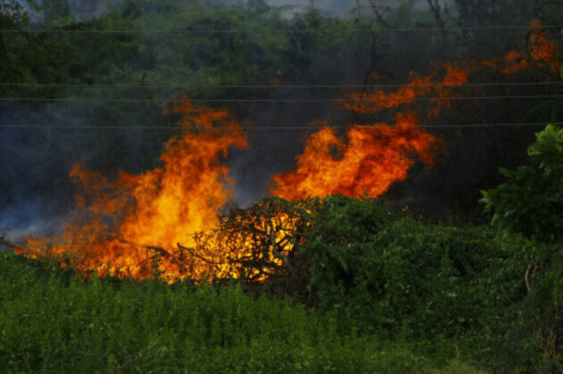 Why Fires Are Increasing in Bulgaria
