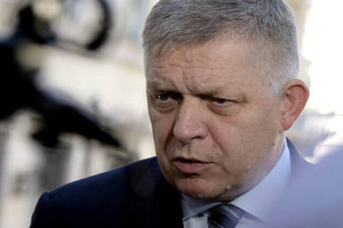 Slovakia 'won't support anything' that helps prolong Ukraine conflict - Fico