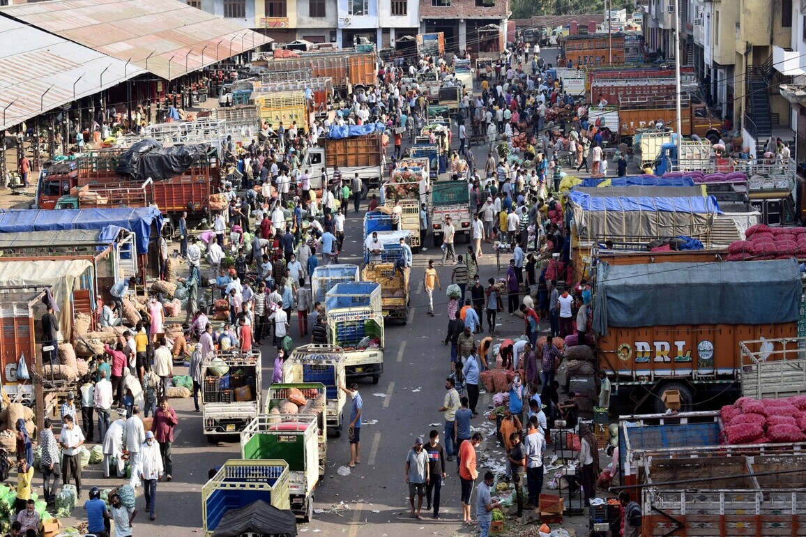 78% of urban population exposed to pesticide residues, multiple toxins found in blood samples: Survey