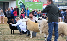 Best of Welsh breeds on display at Merioneth Show 