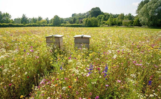 Introducing the finalists for the British Farming Awards Sustainable Farmer of the Year 2025