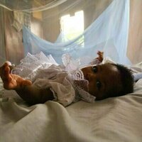 Beating malaria: what can be done with shrinking funds and rising threats
