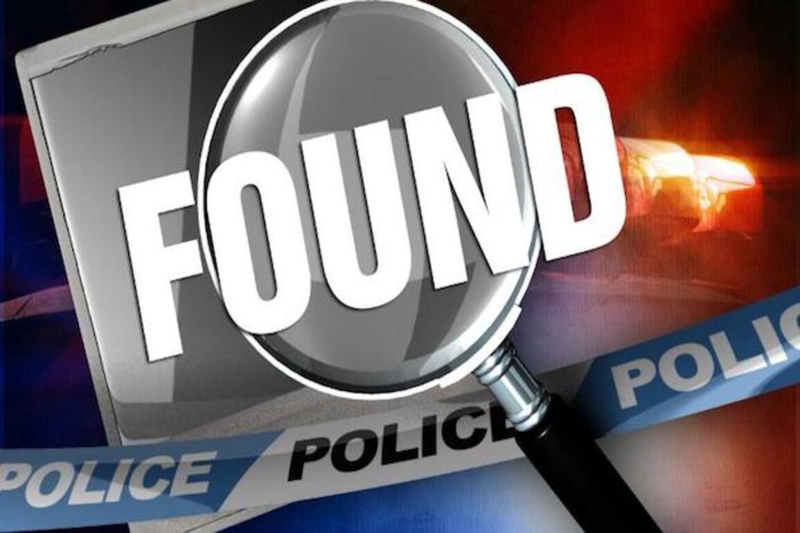 Police locate missing 58-year-old woman in Bathurst 