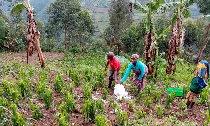 More than 400 face starvation after hailstorm in Kisoro