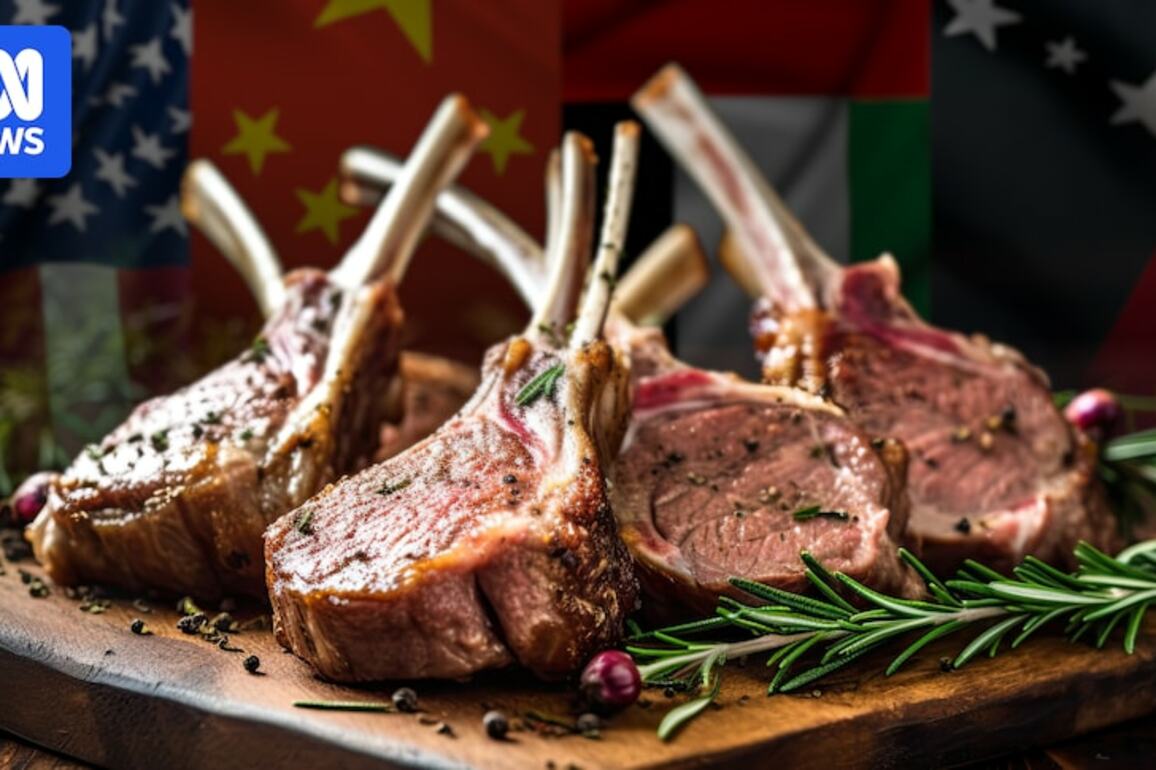 Australian lambs fetch record prices as export demand surges