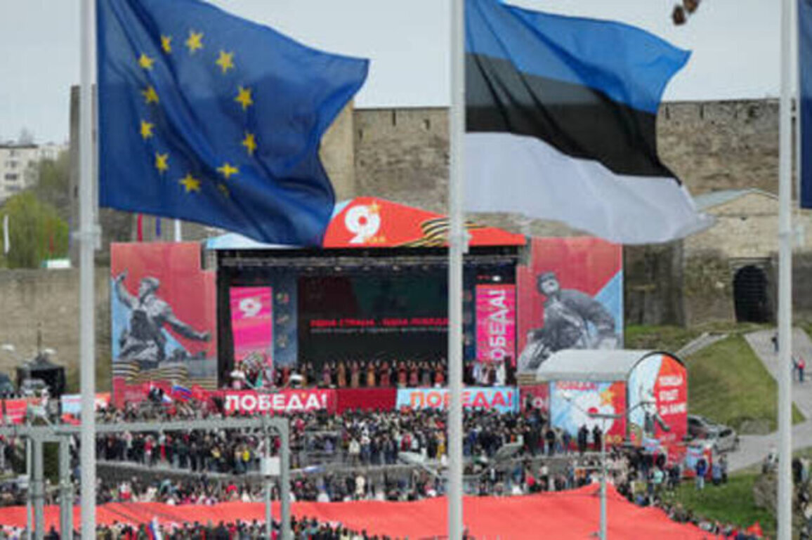 Estonian residents flock to Russian border to watch Victory Day concert (VIDEO)