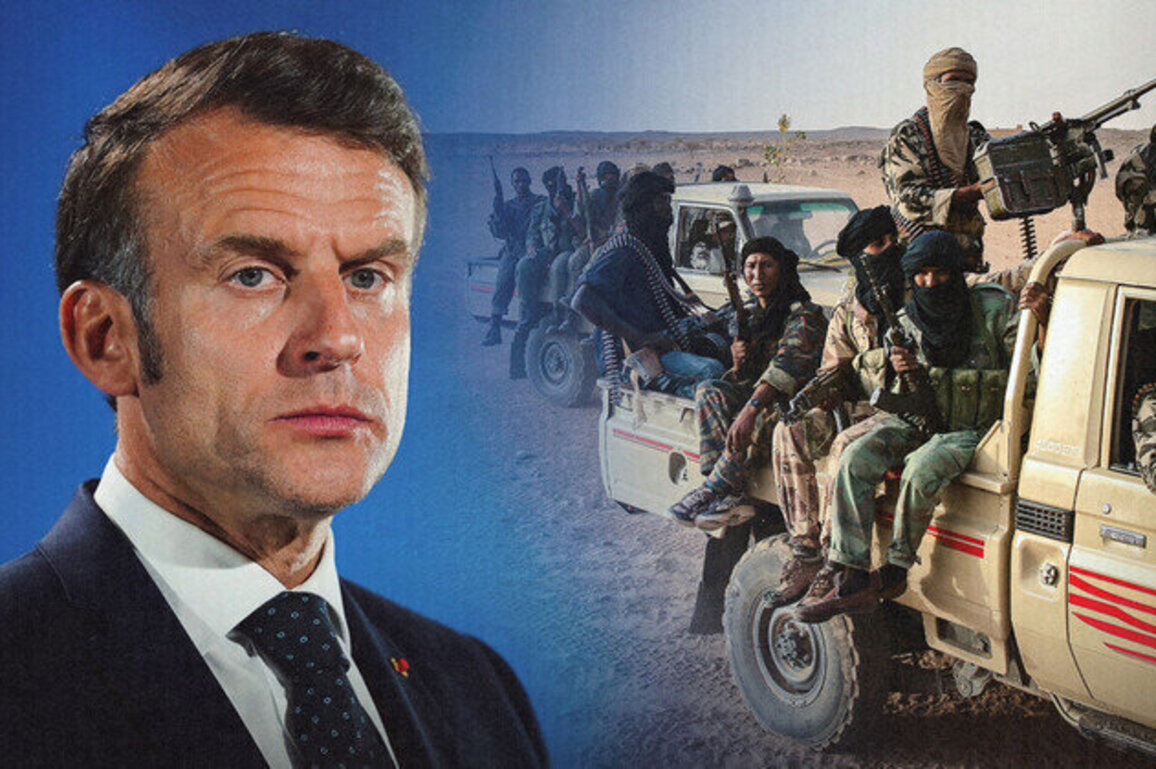 France plotting political revenge in Africa  Russian intel