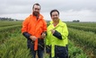  Dr Lee Hickey, QAAFI and Dr Kar-Chun Tan, CCDM. Dr Hickey and the CCDM have been investigating Russian wheat samples to potentially help with disease resistance breeding in Australia. Picture courtesy CCDM.