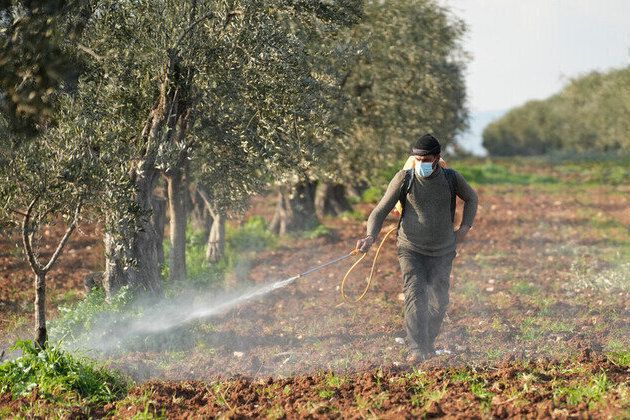 Pesticides poison nearly half of worlds farmers each year  study