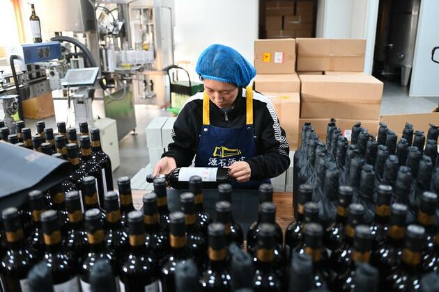 Young winemakers bring new energy to China's wine capital