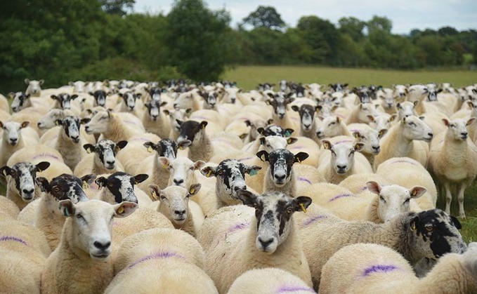 Risk aversion in FSA and foot-dragging at Defra holding back farming progress