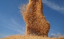 Meetings increase say on grains research