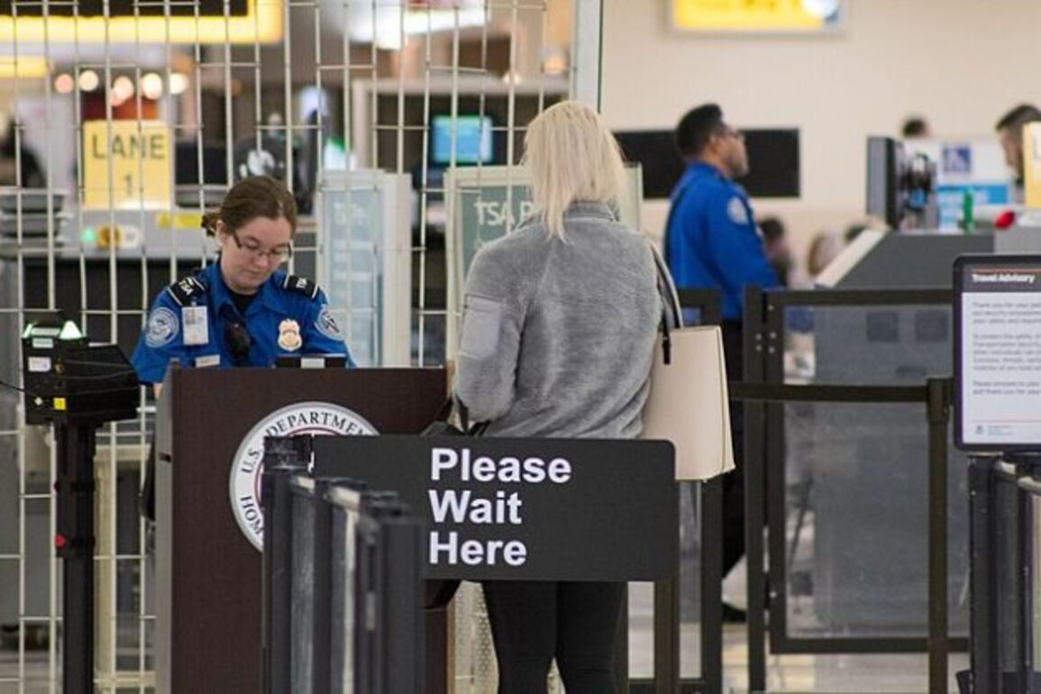 CEOs of airlines demand Congress pay workers, restore DHS funding