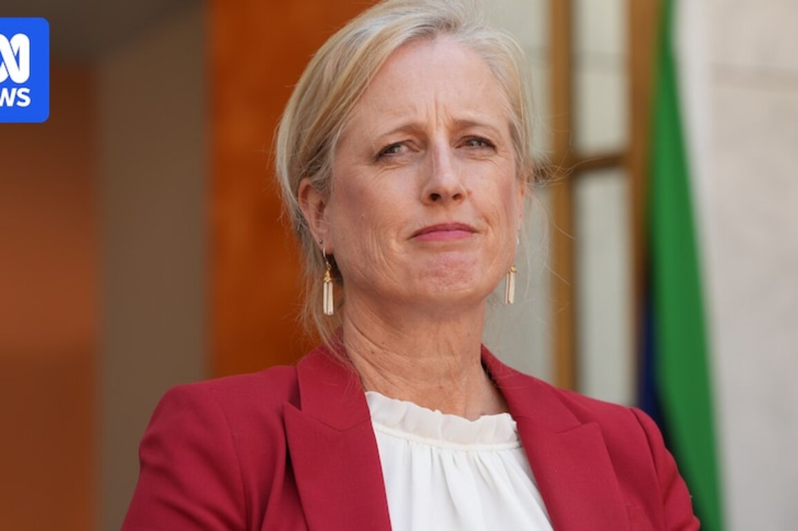 Katy Gallagher seeks fourth Senate win at federal election, but concedes Pocock's popularity
