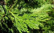 Evergreen funds: The long hold