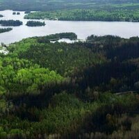 Ontario's forest management is falling short on key sustainability test