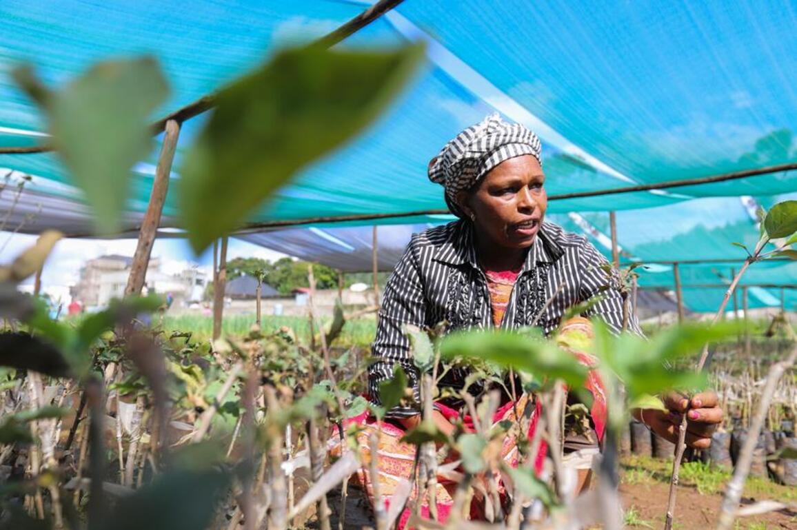 Ethiopia calls for food system transformation during World Food Day celebrations