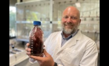  SeaStock managing director, Tom Puddy, with an Asparagopsis specimen. Image courtesy SeaStock.