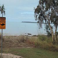 Shark attacks couple swimming at Australian beach, kills woman