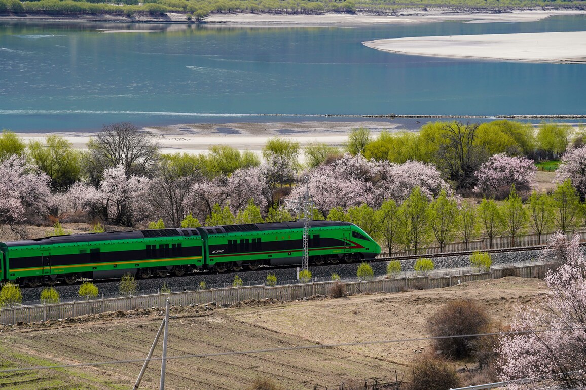 CHINA-XIZANG-NYINGCHI-PEACH BLOSSOM-TRAIN (CN)