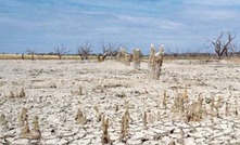 Auditor General says more to be done to manage the impact of salinity in WA