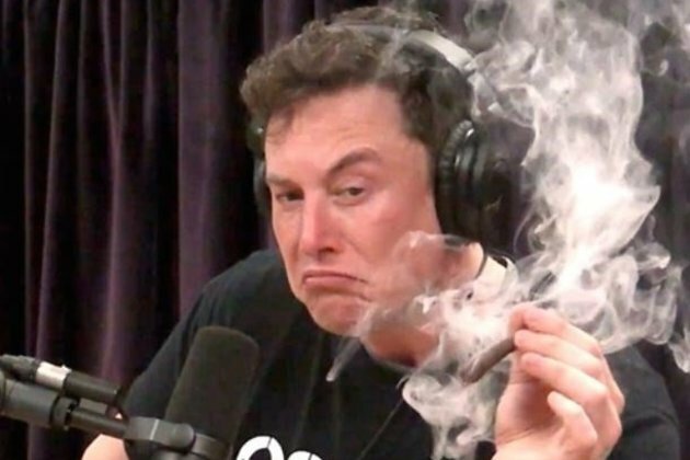 Elon Musk says he wired up a monkey&#039;s brain to play video games