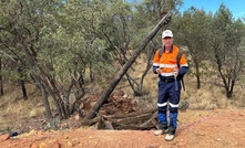 Rosenstreich at the Black Range workings