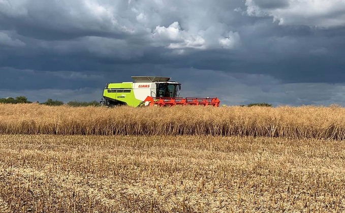 Harvest 20: Early drilling key as OSR harvest commences in Cambridgeshire