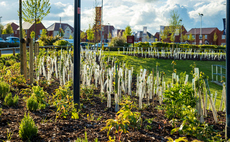 Tree Council launches £2.5m 'Trees Outside Woodland' planting fund